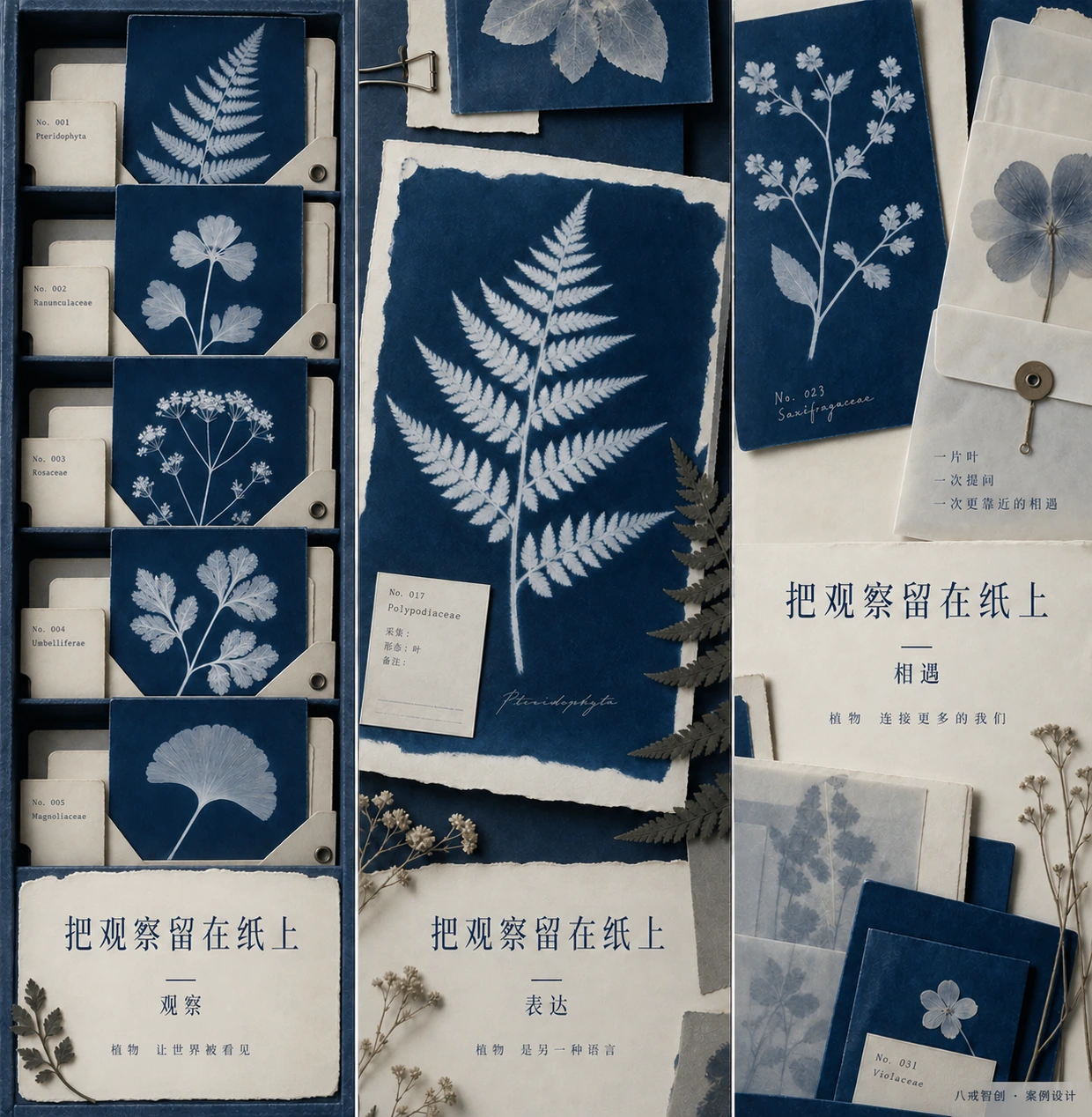 把观察留在纸上