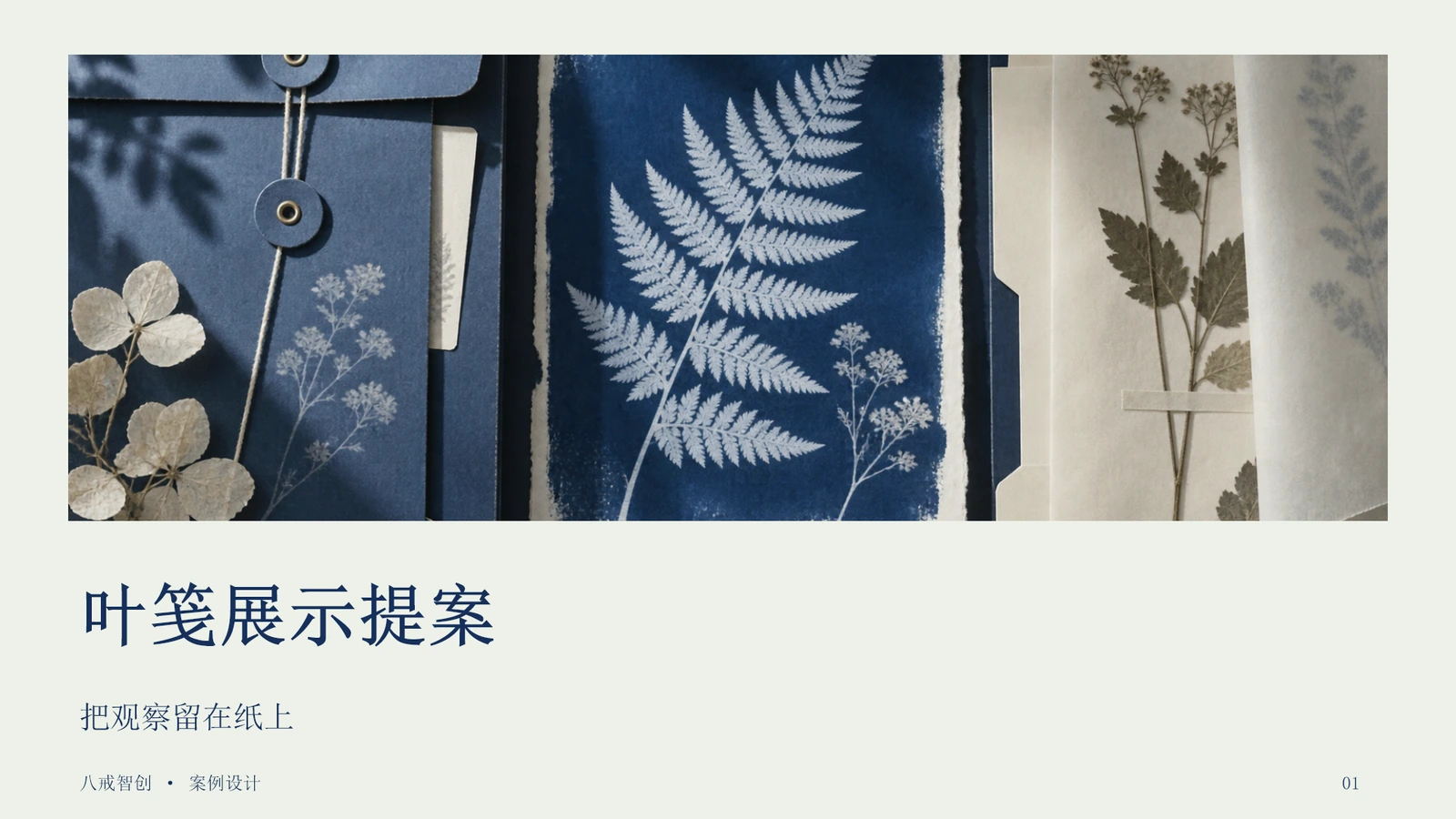 叶笺展示提案