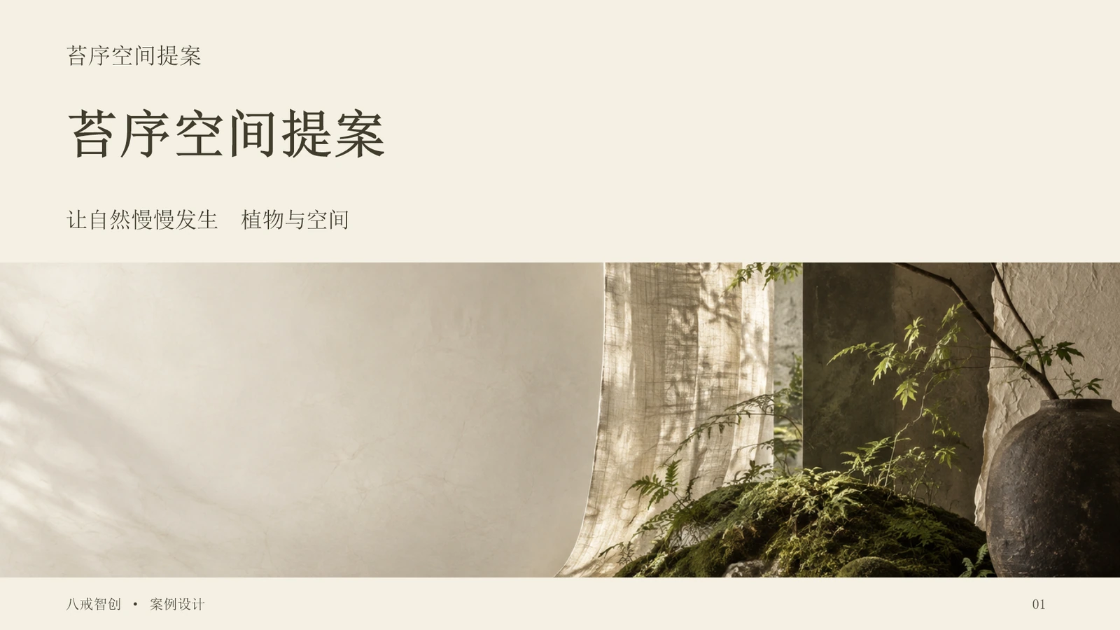 苔序空间提案