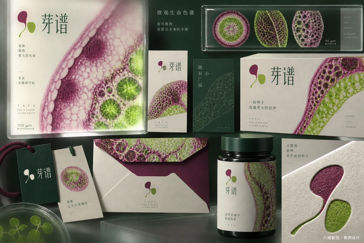 芽谱品牌形象