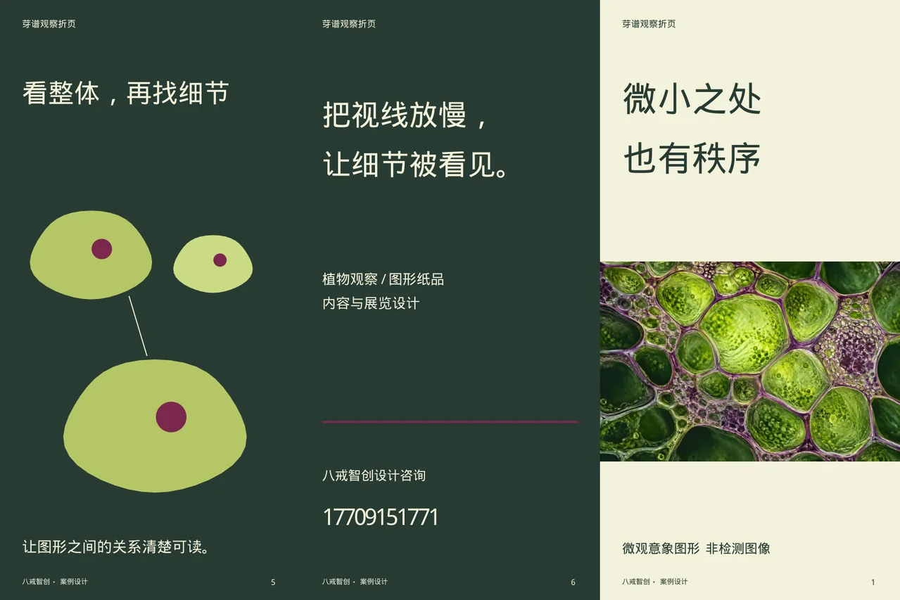芽谱主题折页 · 六面折页外侧展开