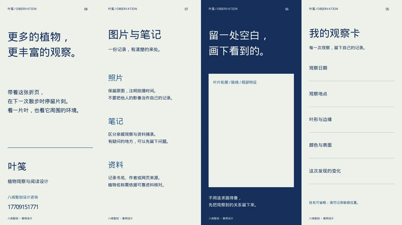 叶笺主题折页 · 背面四面展开
