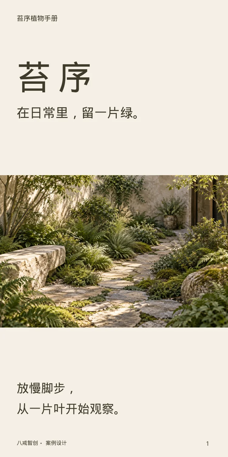 苔序植物手册 第1页