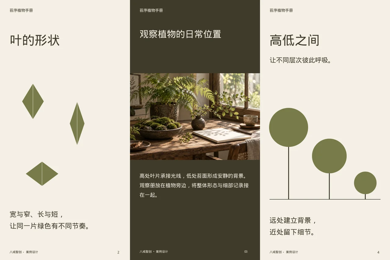 苔序植物手册 · 六面折页内侧展开