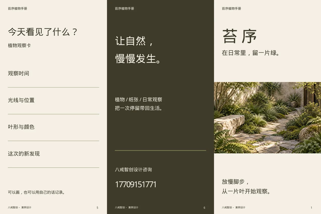 苔序植物手册 · 六面折页外侧展开